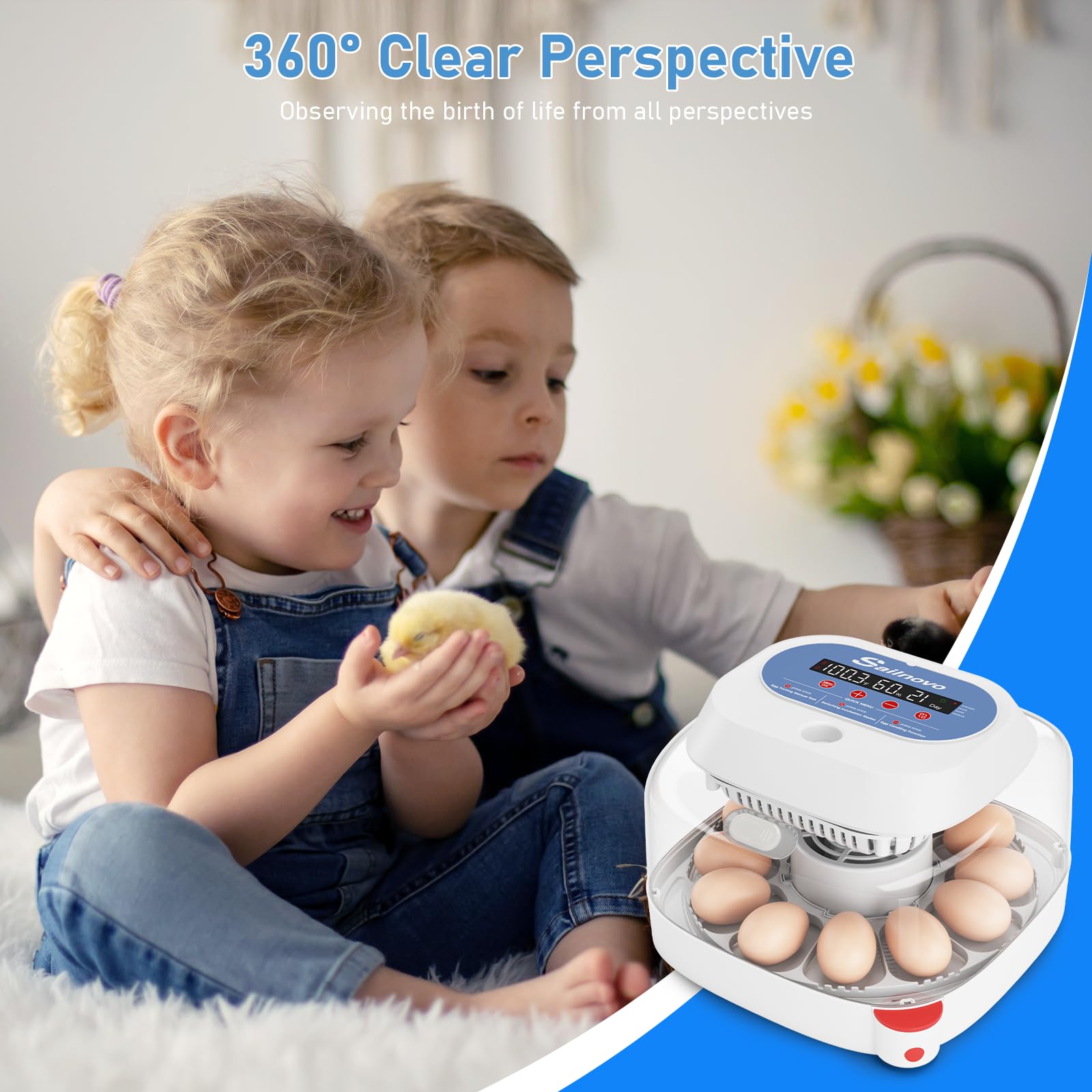 Sailnovo Incubadoras de huevos para incubar, 12 huevos, incubadora para huevos de gallina con 4 modos, visión de 360°, incubadora de huevos con giro automático y control de temperatura, Azul