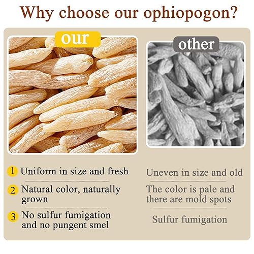 Miniatura 4 de Ophiopogon Herb Mai Dong Mai Men Dong Ophiopogon Japonicus Health Tea Full and Core Hierba china 10.58oz300g