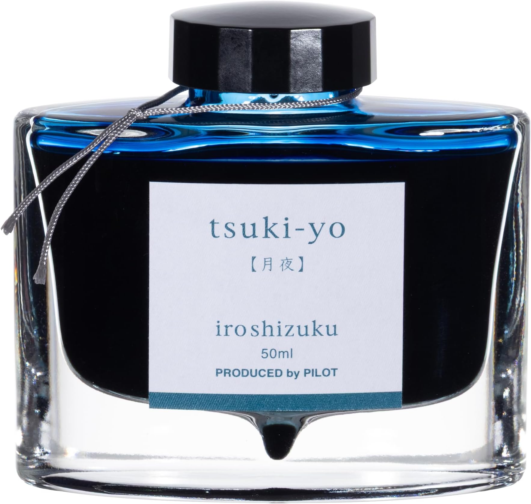 Ink Iroshizuku Moon Night INK50TY Pilot