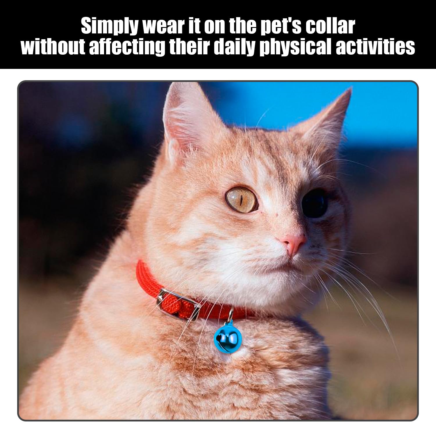 Cloches Colorées pour Animaux de Compagnie, 50 Pièces, Ornements Faits à la Main, Équipement de Dressage Chats Chiens