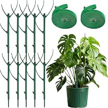 10 Pack Stackable Monstera Plant Support Stakes for Indoor & Outdoor Plants,Plant Support Structures for Climbing and Potted Plants,Plant Sticks for Vine Training & Stem Stabilization
