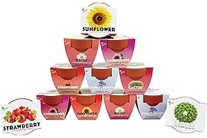 Seeds Terracotta Mini Grow Pots | Herb, Plant, Flower Starter Kit