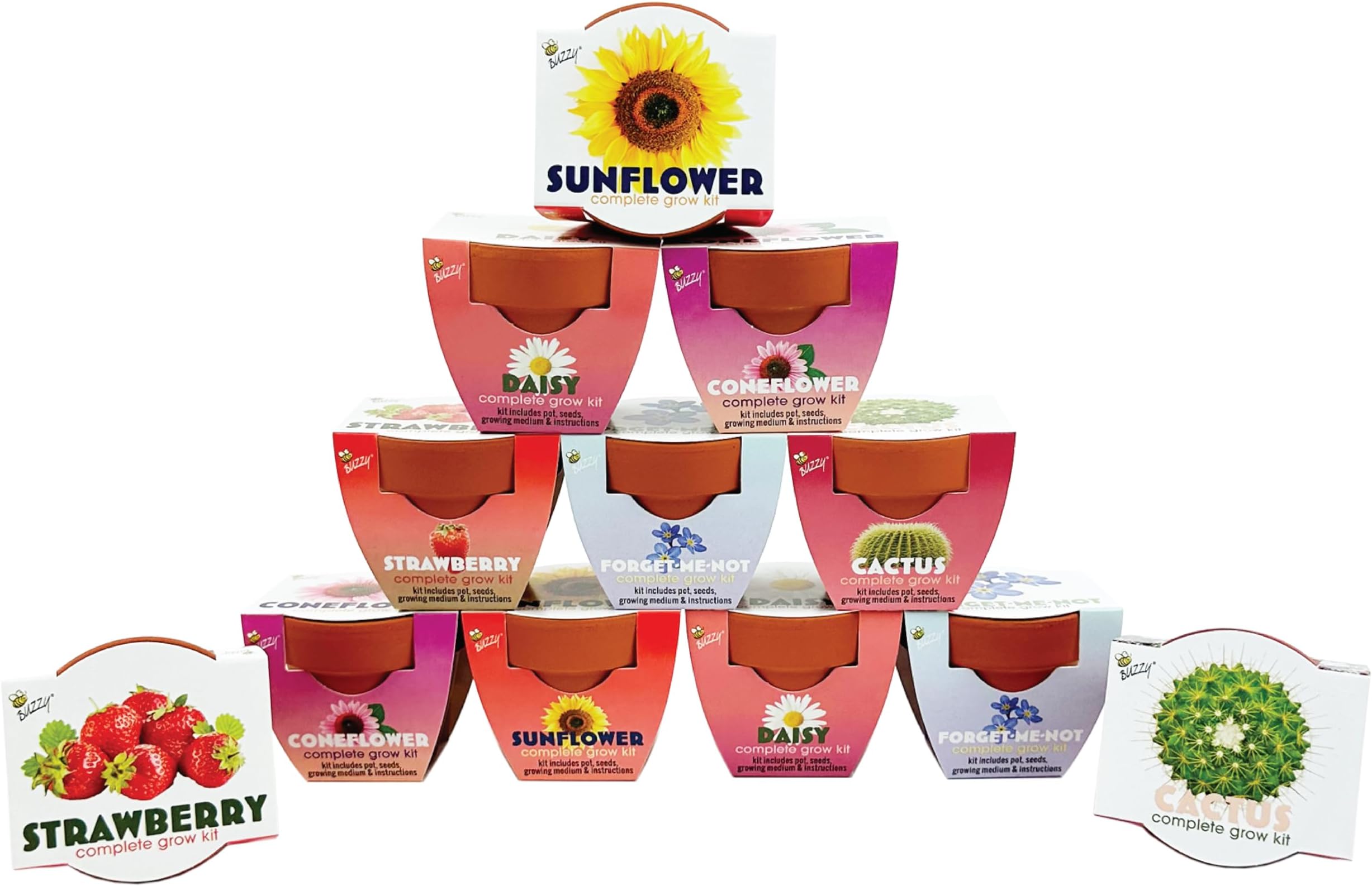 BUZZY Seeds Terracotta Mini Grow Pots 12-Pack – All-in-One Flower Kits with Growing Medium, Sunflower, Daisy, Coneflower, Strawberry, Forget-Me-Not, and Cactus Seeds, DIY Plant Starter Collection
