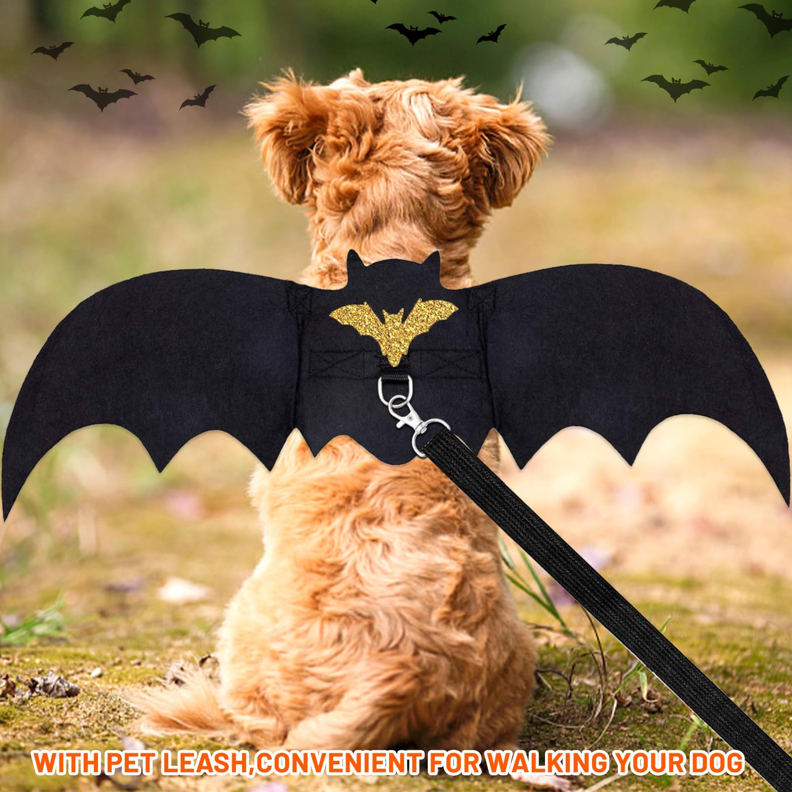 Predolo 2 Pièces Ailes De Chauve-Souris Déguisement Pour Animaux