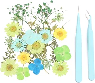 Caiyjhao28PCS Natural Dried Flowers+Tweezers, Used for Resin Crafts DIY Epoxy Resin, Scrapbooks, Photo Frames, Mobile Phone Cases, Bookmarks, Soap Making (Back Garden B)