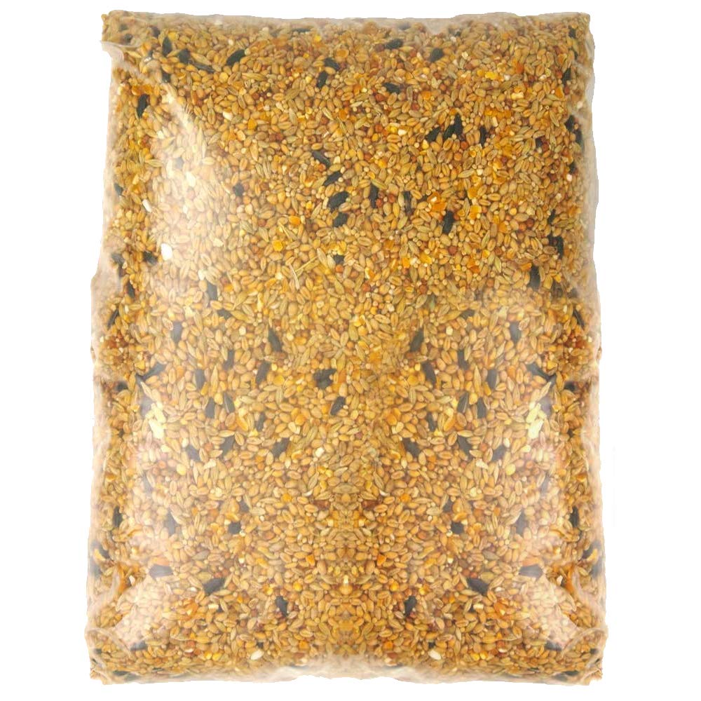 SQUAWK All Seasons Wild Bird Food Mix | Husk Free Natural Garden Seed | Contains Black Sunflower, Wheat and Small Seeds | Enhanced Feed Mixture | Protein Rich Balanced Vitamin Recipe (12.5KG)