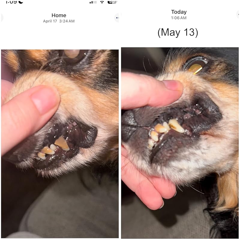 Virbac CET Veggiedent FR3SH Tartar Control Chews for Large Dogs Over 66 Pounds, Plant-Based Formula, 30 Count Bag : Virbac Animal Health Review Image