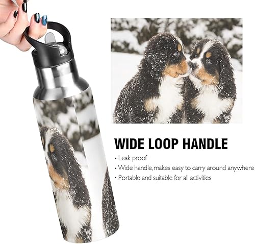 Miniatura 2 de Botella de agua de perro de montaña bernés con aislamiento para niños y niñas, tapa de popote de acero inoxidable, 20 onzas, botella de agua fría
