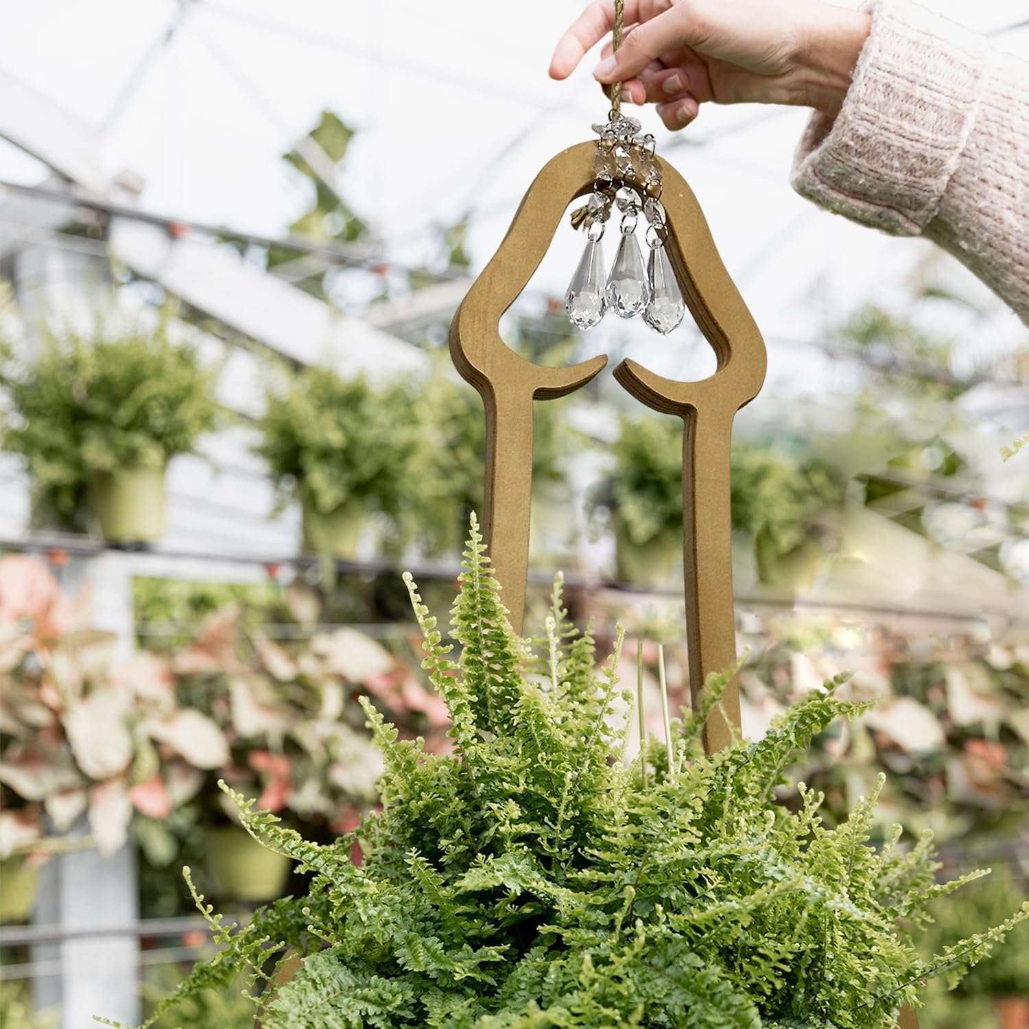 Funny Flower Pots Plant Hanger, Mr. Morningwood, Versatile Plant Hanger & Pot, Wood Penis Planter, Unique Plant Stand, Gift for Plant Lover, Perfect Home Decor and Planter Accessory for Indoor