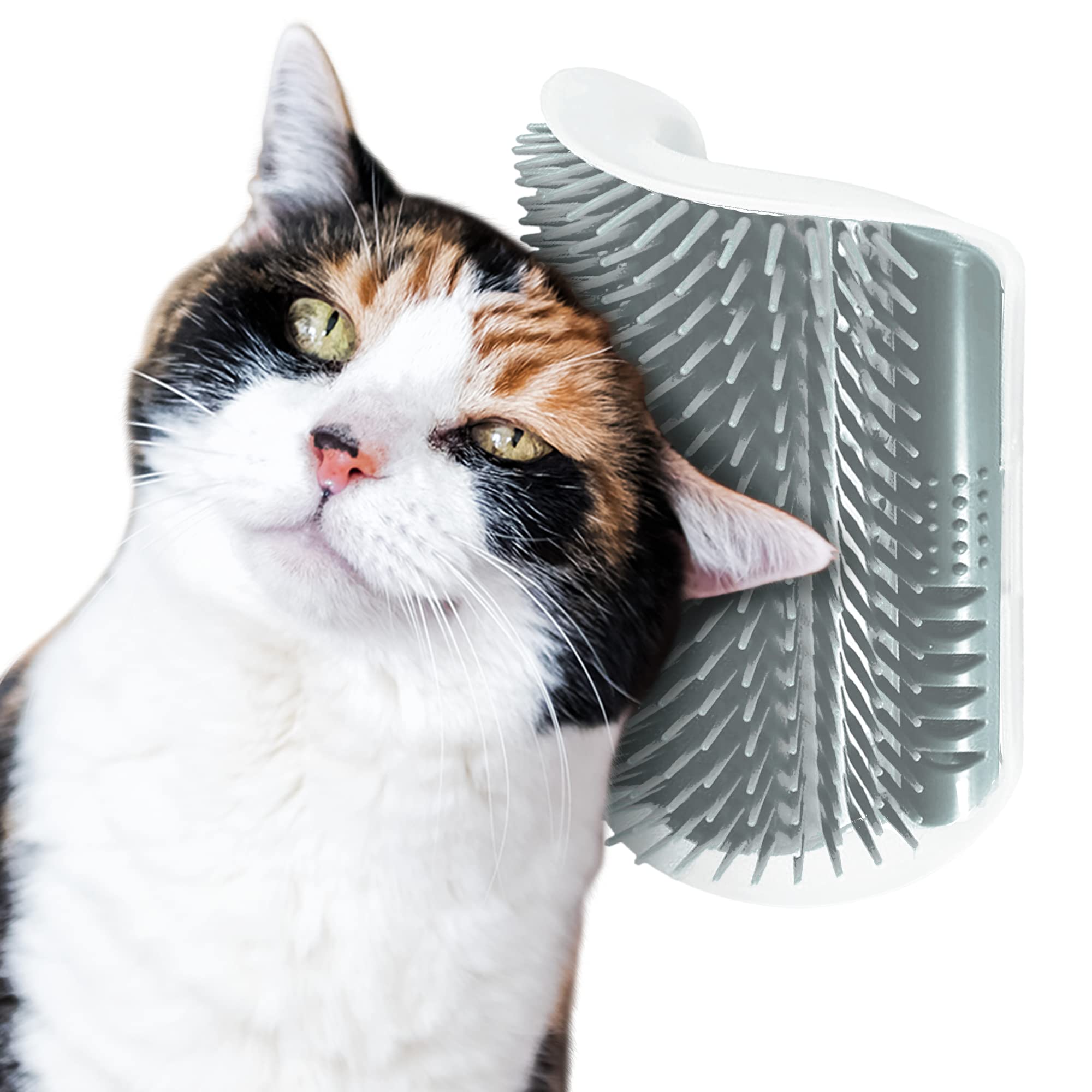 SunGrow Self-Grooming Brush for Cats, Light Gray Self Massager, Mountable to Corners and Flat Surfaces, Includes Brush, Catnip, Screws and Adhesive Tape, 1-pc - image 3