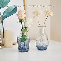 Vista 6 de Juego de jarrones de vidrio para brotes de 16 piezas, jarrones pequeños de flores, jarrones de vidrio para centros de mesa, decoraciones de mesa