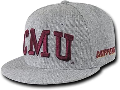 Central Michigan CMICH Chippewas NCAA 