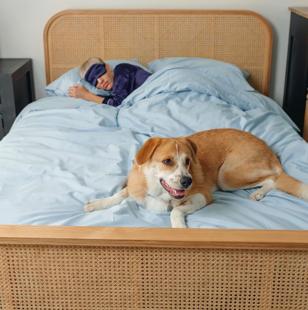 PAW BRANDS PupSheets™ Hair Resistant Cooling Duvet Cover and Sham Set - Sky Blue - Full/Queen Size