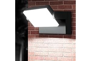 LEDMO 40W Outdoor Wall Lights with Adjustable 360° Head