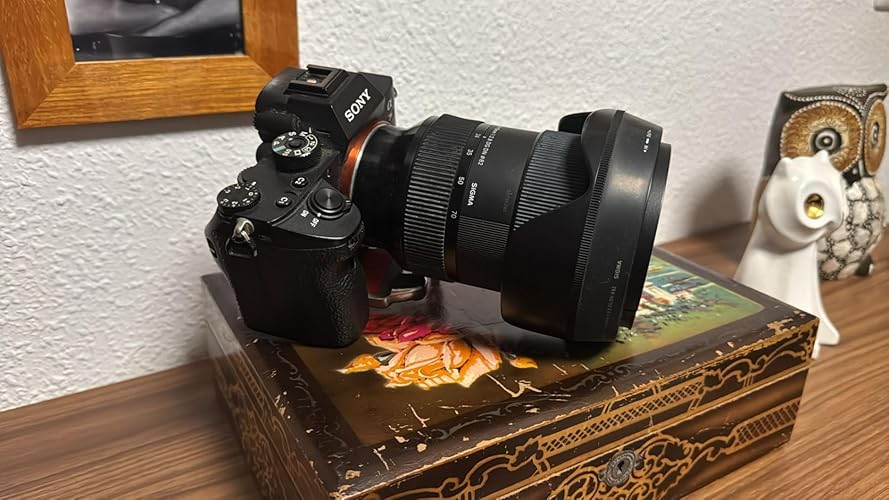 Sigma Estándar Zoom 24-70mm F2.8 DG DN Art Montura Sony e : Amazon