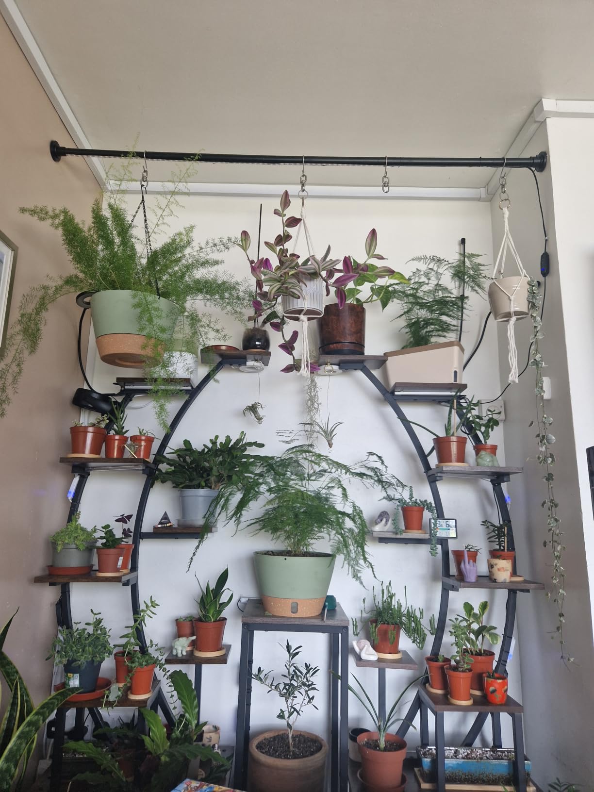 Customer photo