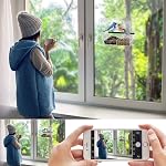 Acrylic Window Bird Feeder with 4 Strong Suction Cups, Clear Bird House, Removable Food Tray with Drain Holes, Easy Install and Clean for Backyard and Outdoor