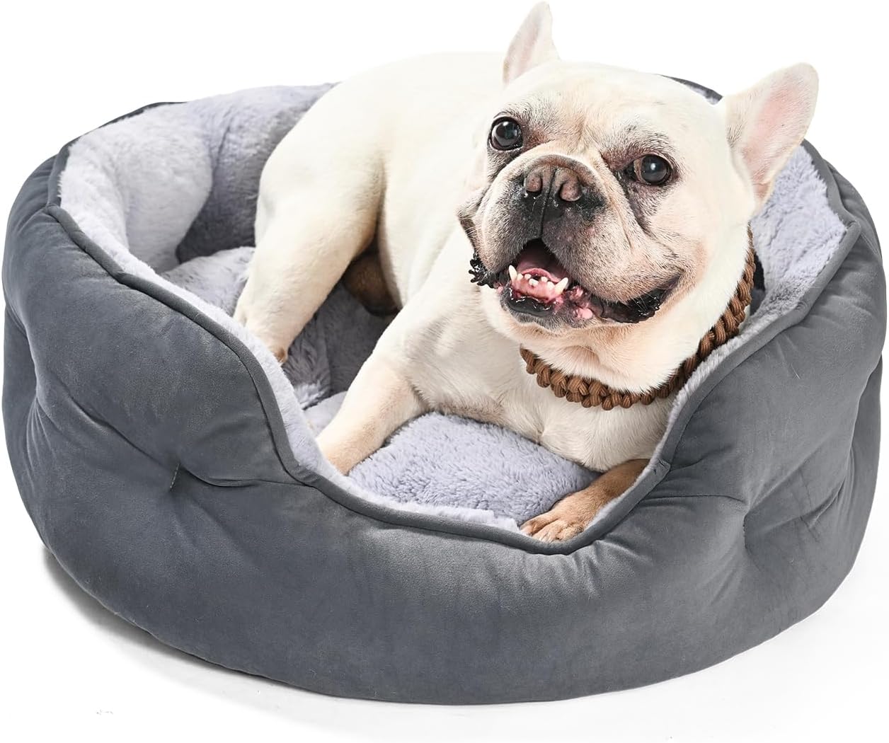 Amazon Basics Round Dog Bed for Medium Dogs, Cat Beds for Indoor Cats, Washable Pet Bed with Soft Plush Cushion, Anti-Slip Bottom, 25x21x8 Inches, Gray Amazon Basics Round Dog Bed for Medium Dogs, Cat Beds for Indoor Cats, Washable Pet Bed with Soft Plush Cushion, Anti-Slip Bottom, 25x21x8 Inches, Gray