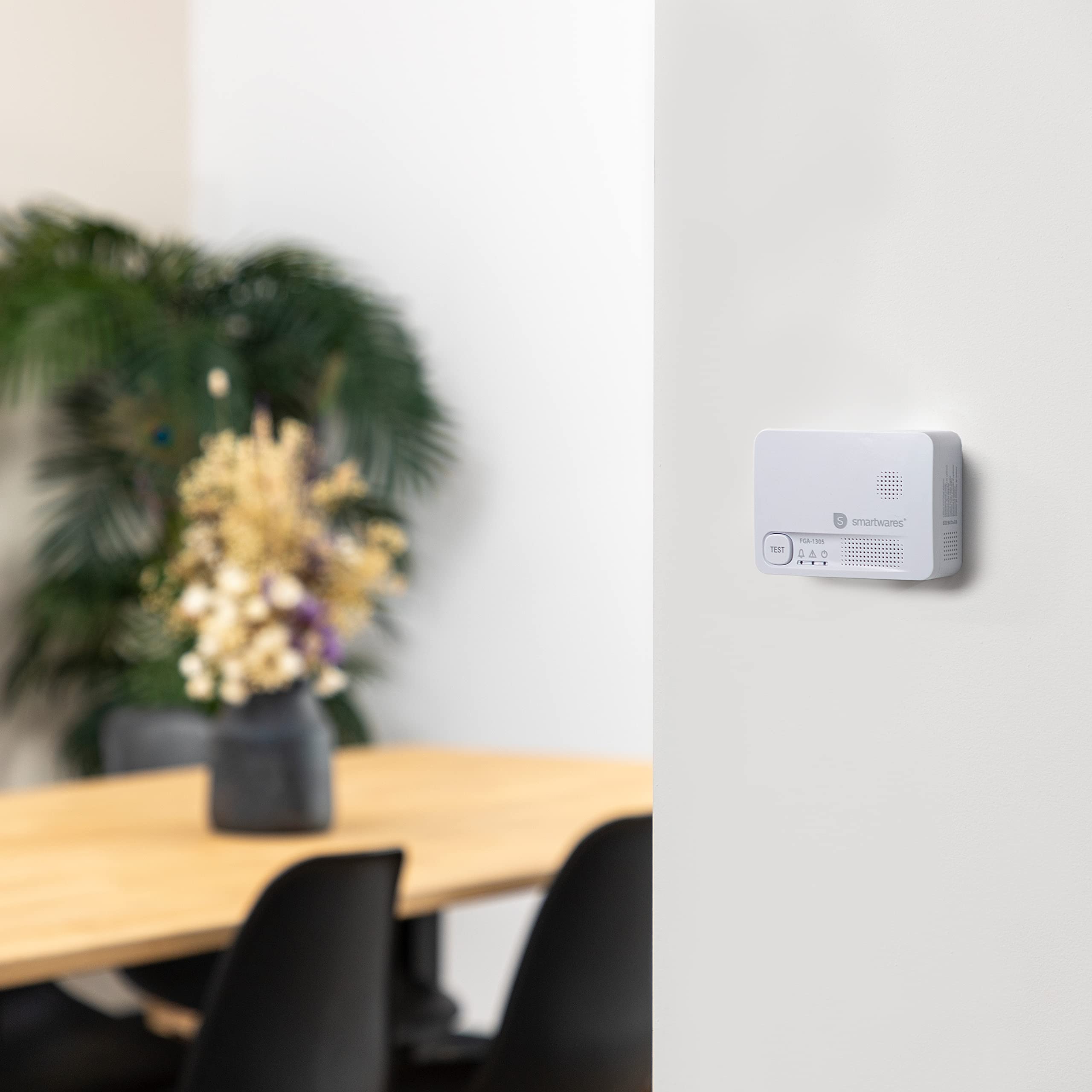 Détecteur de monoxyde de Carbone Smartwares FGA-13051 - Capteur 10 Ans - Bouton de Test