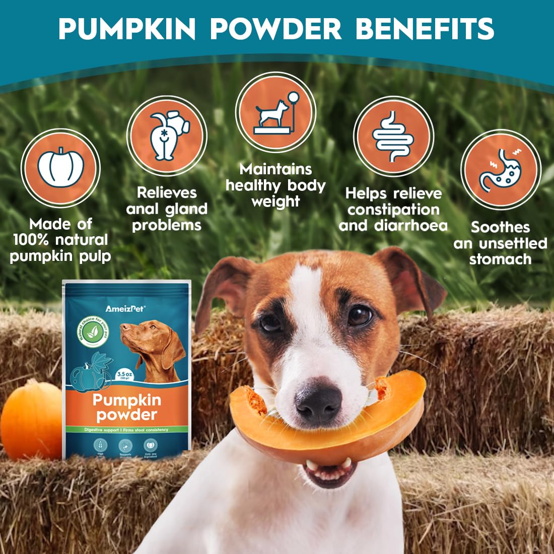 AmeizPet Pumpkin Powder for Dogs To Create Pumpkin Puree - Image 2