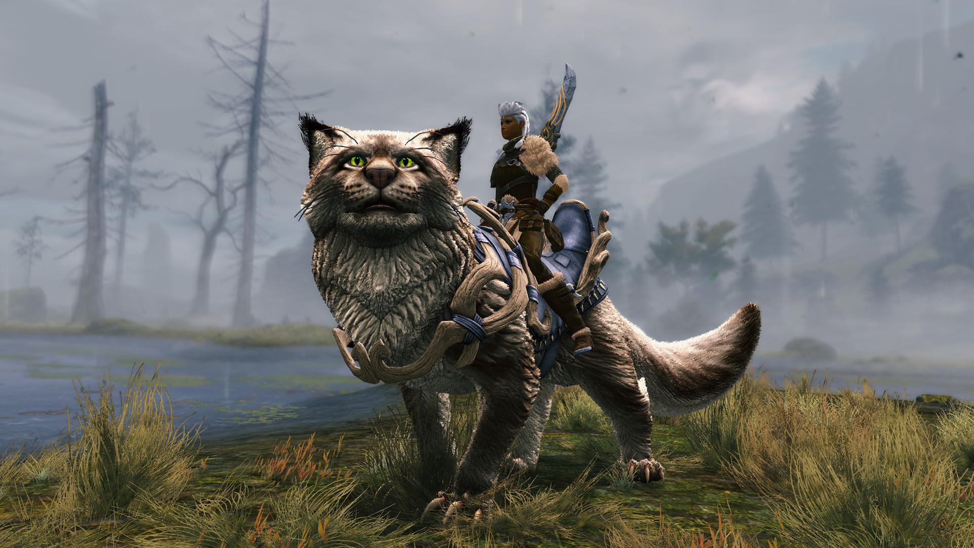 Guild Wars 2: Janthir Wilds Standard | Codice per PC