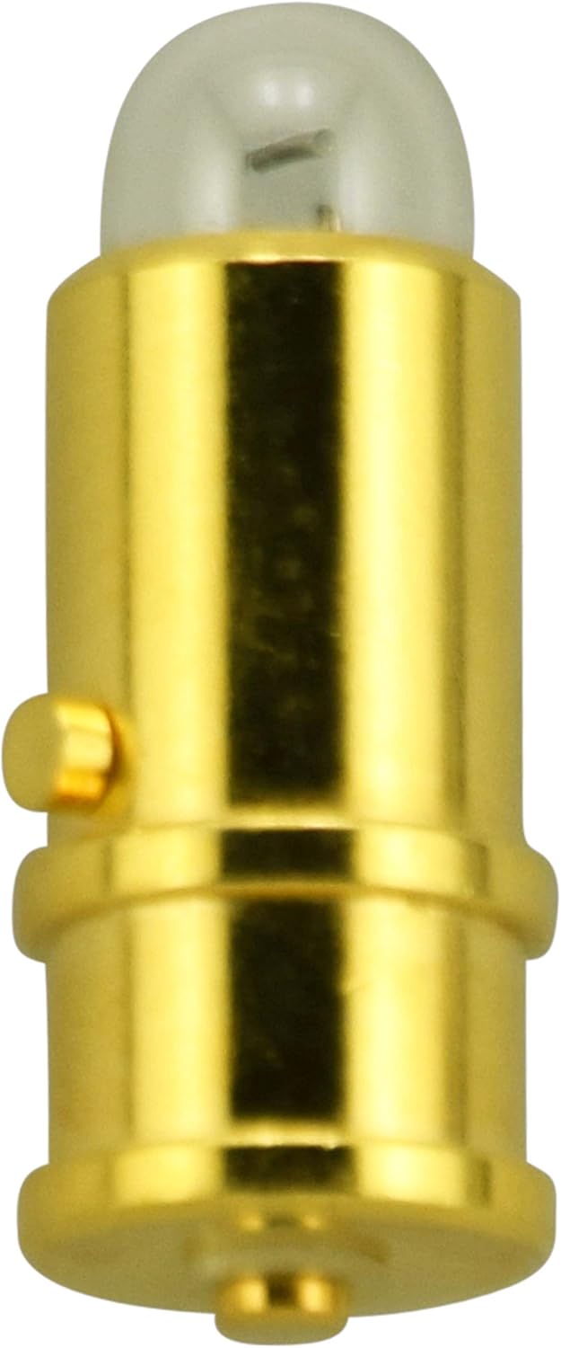 ☆最終値下げ☆極寒のニセコでも春の野沢温泉でも パタゴニア スノー