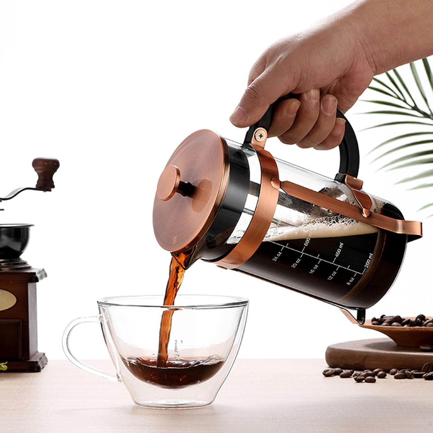 Diydeg French Press Coffee Maker, 1000ML Dual Layer Filter French Coffee Press Glass Tea Pot for Home