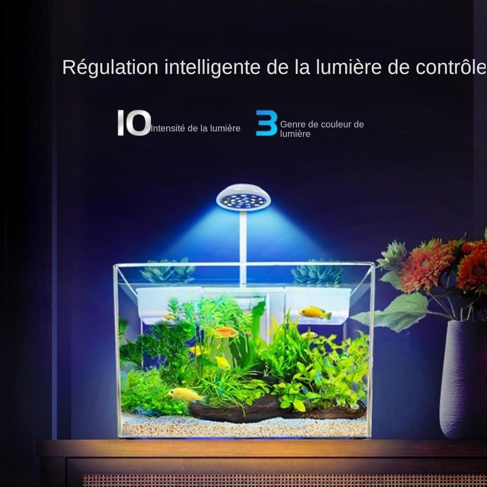 Aquarium, kit habitat per tartarughe con zona multifunzione e filtro acqua completo per tartarughe e animali acquatici, acquario per tartarughe con piattaforma di riposo, scatola di osservazione per