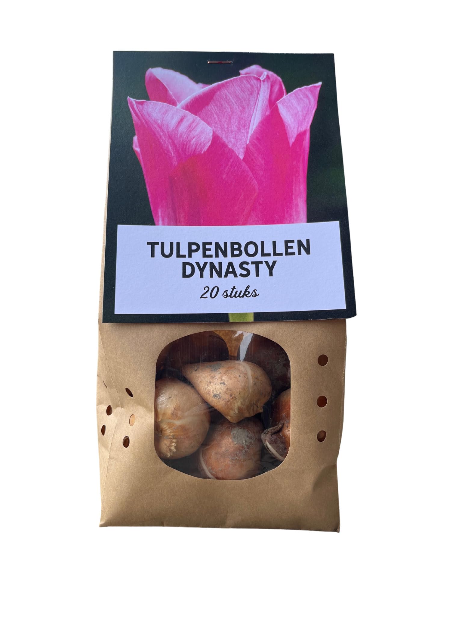 Bulbos de tulipán 'Dynasty' | 20 unidades | Tulipán rosa - 30-50cm - Ø10-12cm - Multitrato - bulbo de flor - Planta de jardín