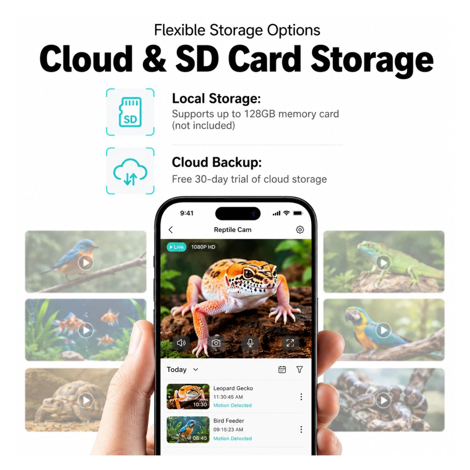 Cuifati Telecamera per acquario e terrario da 2 MP 2K, antiriflesso, senza foratura, per finestre, con rilevamento umano, Wi-Fi, visione notturna e registrazione 24 ore su 24, 7 giorni su 7