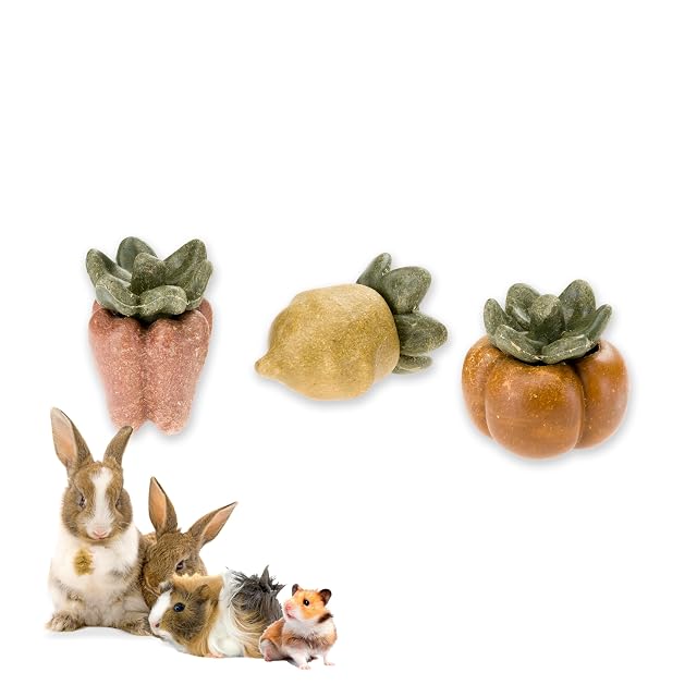 Ferplast Snack Natural para Roedores, Hámsters, Cobayas y Conejos, Favorece la Higiene Dental