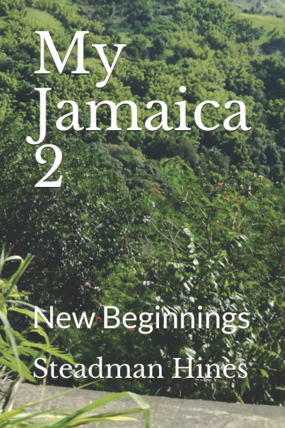 My Jamaica 2: New Beginnings