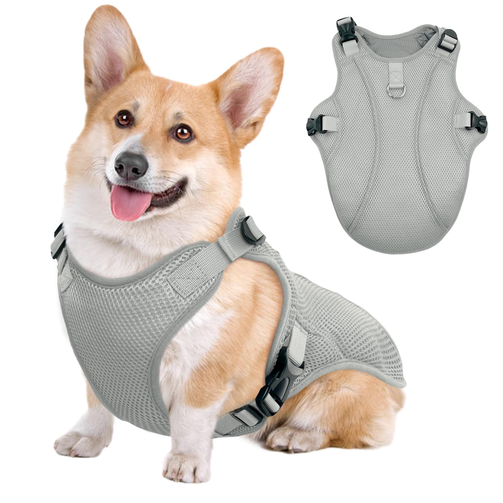Gilet rafraîchissant pour chien veste respirante harnais réfléchissant été S
