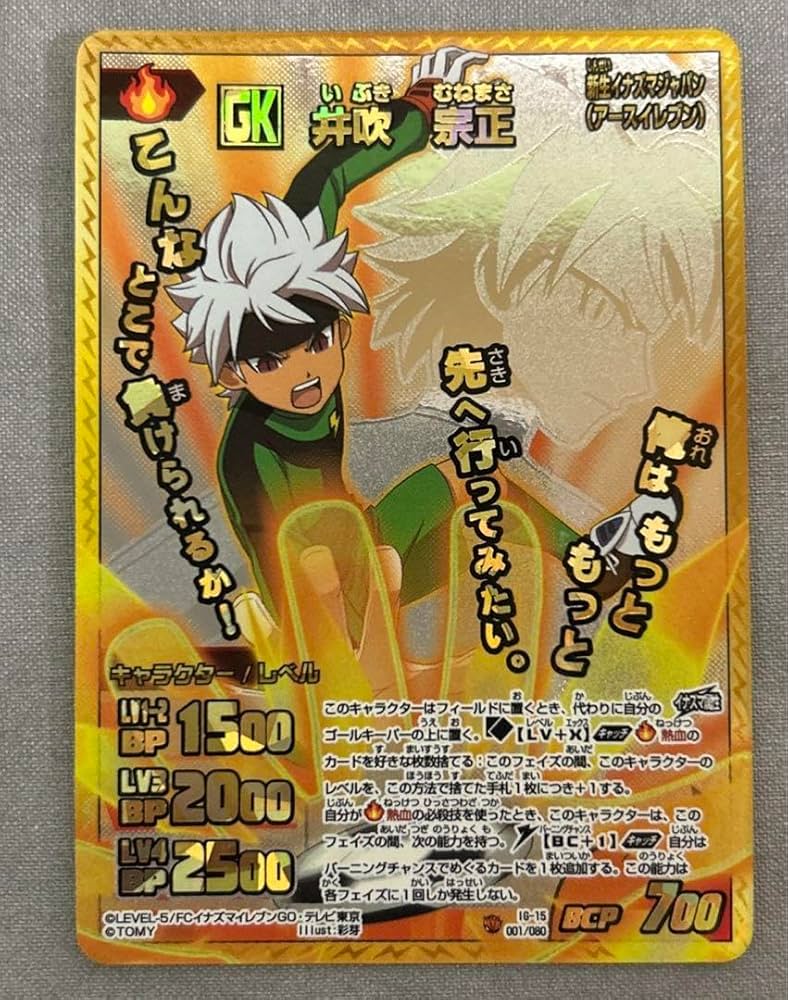 井吹宗正 TCG イナイレ イナズマイレブンGO イナズマレア Amazon.co.jp: イナズマイレブン カード 井吹宗正 3GTSBAX2 : ホビー