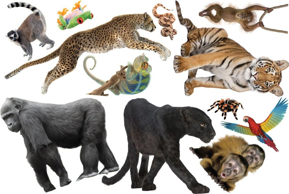 Jungle Animal Wall Set | Tiger, Gorilla, Panther, Birds and Other Jungle Animals | Removes from Wall Leaving no Damage | Fun Stickers for Any Nursery, Bedroom, Playroom or Classroom