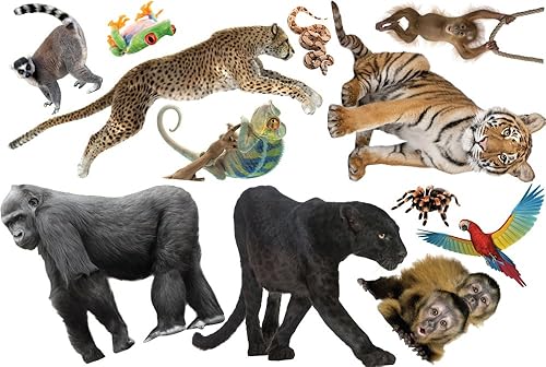 Miniatura 4 de Juego de pared grande de 12 piezas de animales de la selva