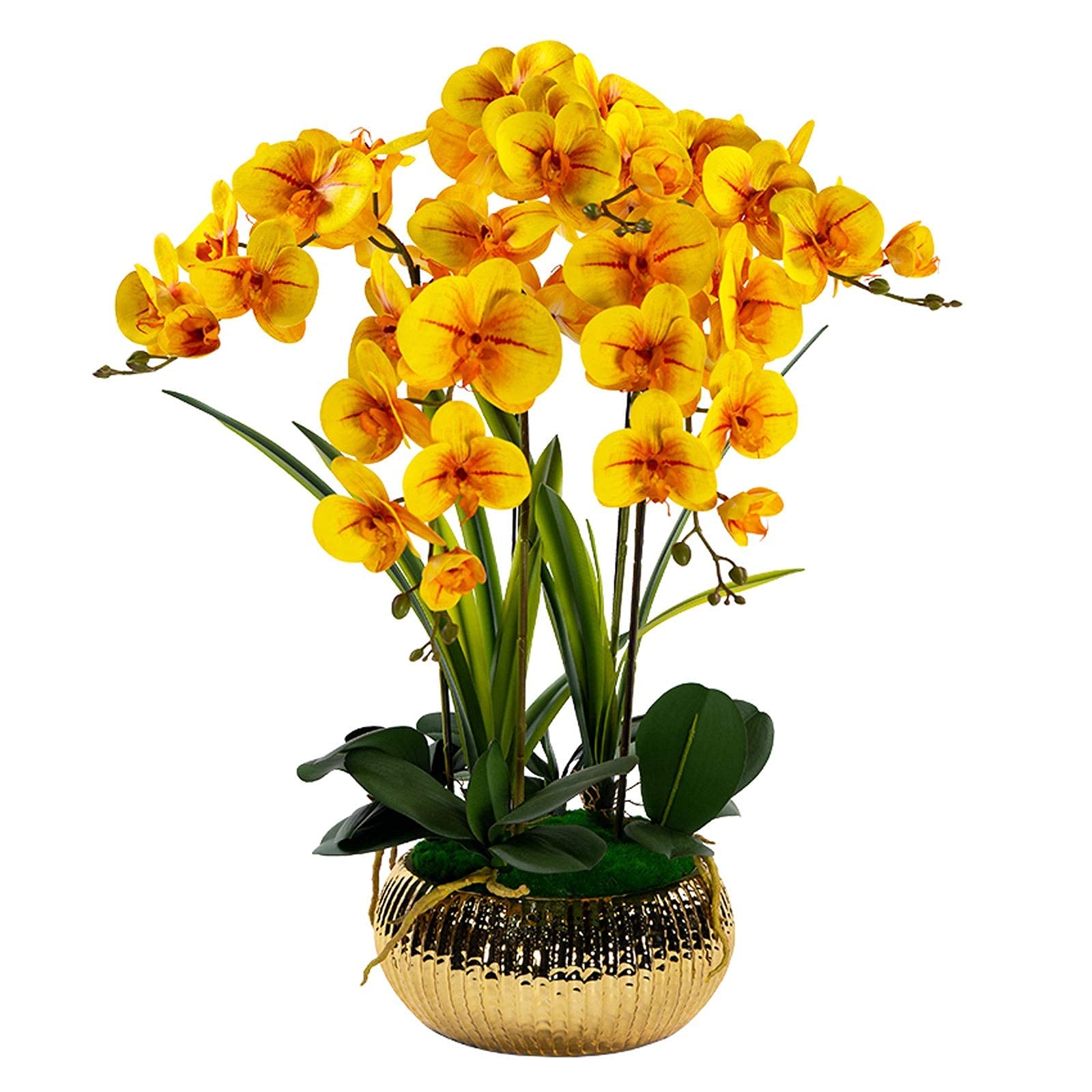 IUokLU Artificial Orchid Flowers,Potted Butterfly Orchid, Artificial Flower in Pot Faux Orchid Silk Phalaenopsis Flower Arrangement Artificial Orchid Flowers with Ceramis Vase
