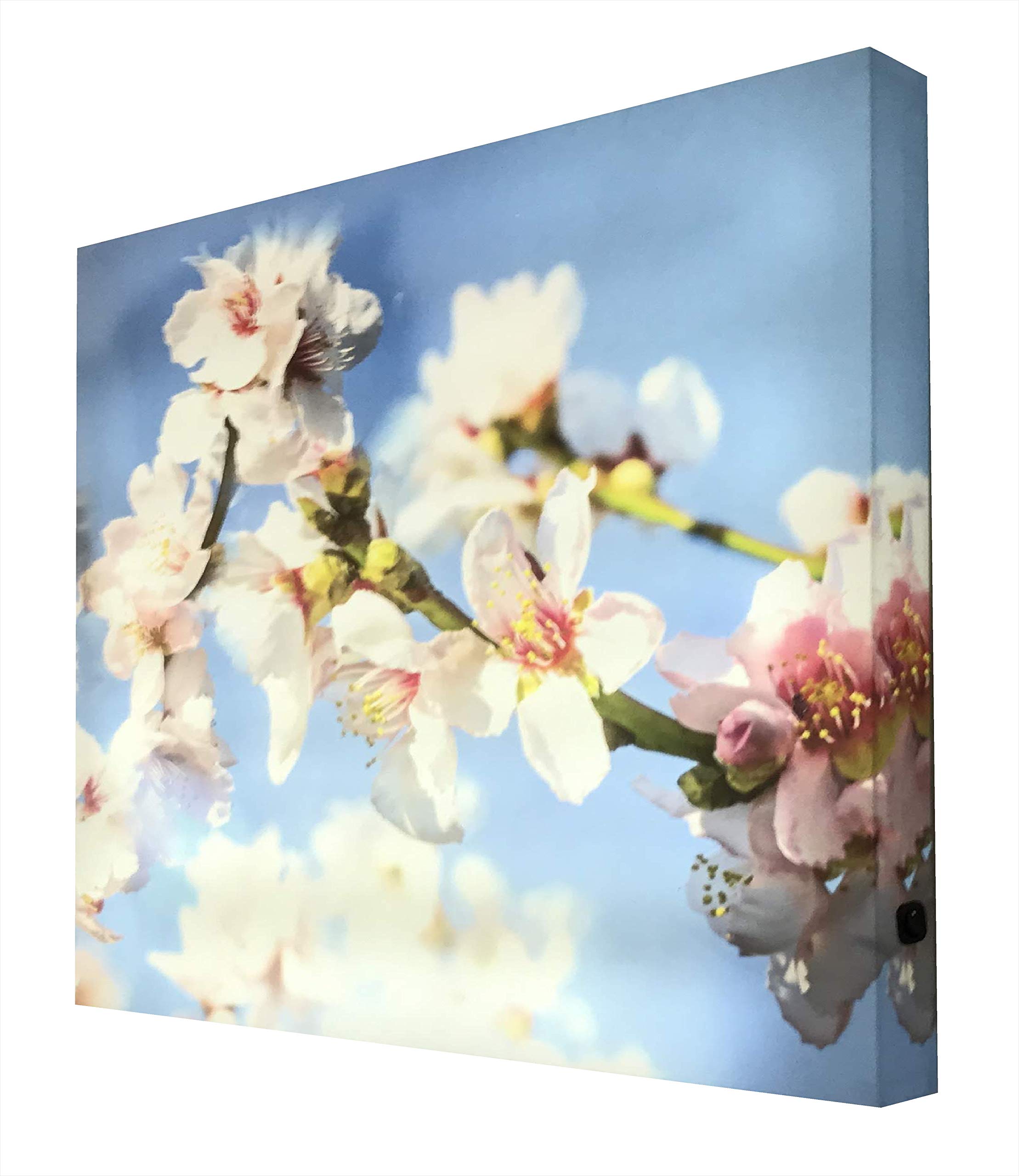 Tableau avec lumière cerisier pour créer une ambiance zen dans votre salon