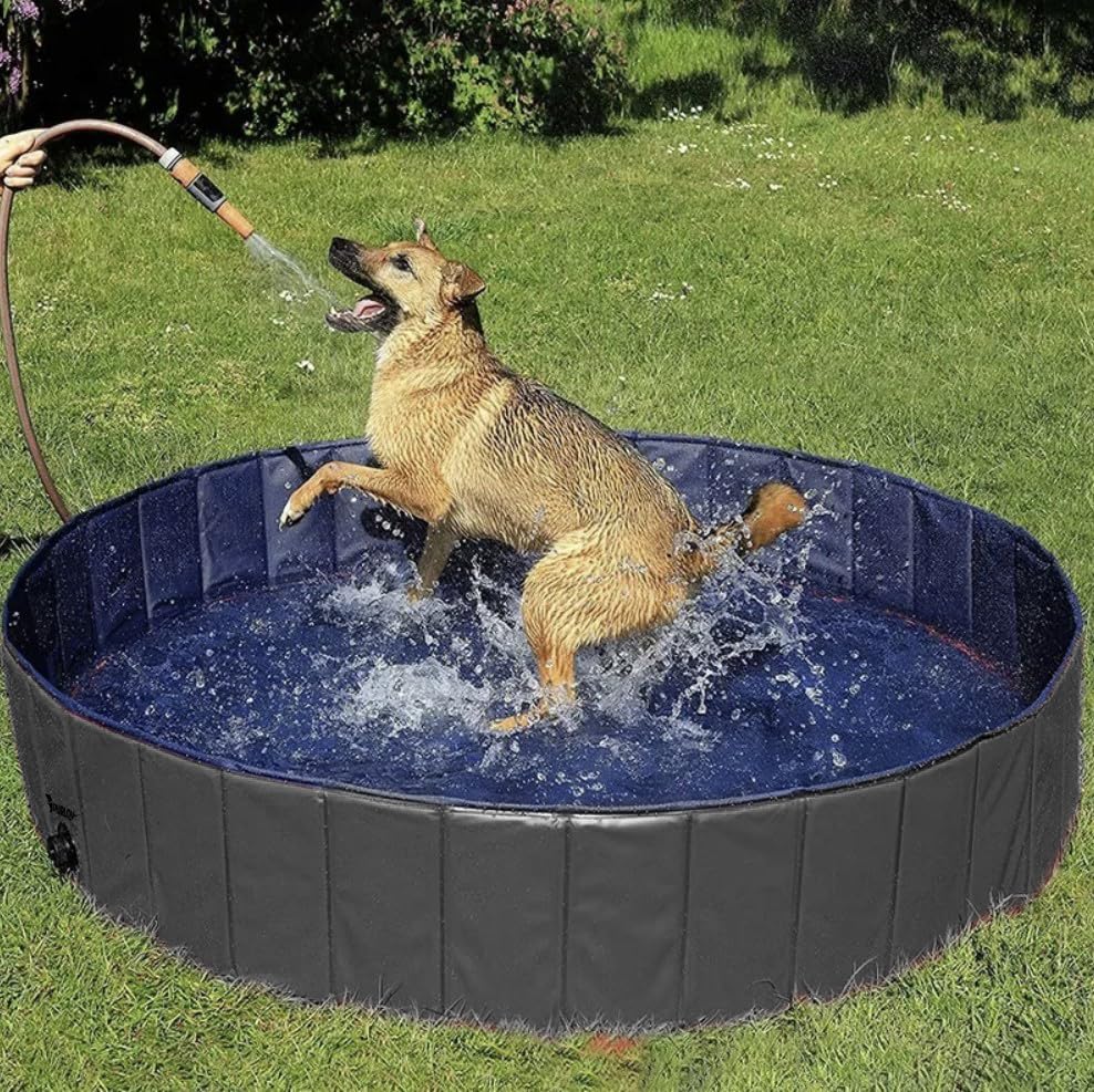 PURLOV Hundepool 160x30 cm/ 120x30cm PVC + ABS Klappbar Antitutsch-Belag Ablaßventils Blau-Grau 23831, Größe:120/30 cm