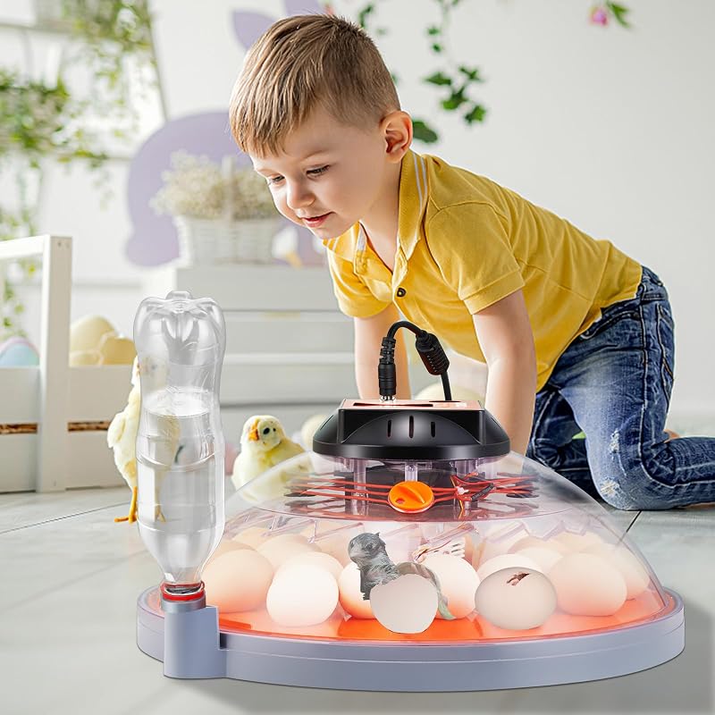 VEVOR 24 tojásos automata keltetőgép víztöltő rendszerrel baromfi tenyésztéshez