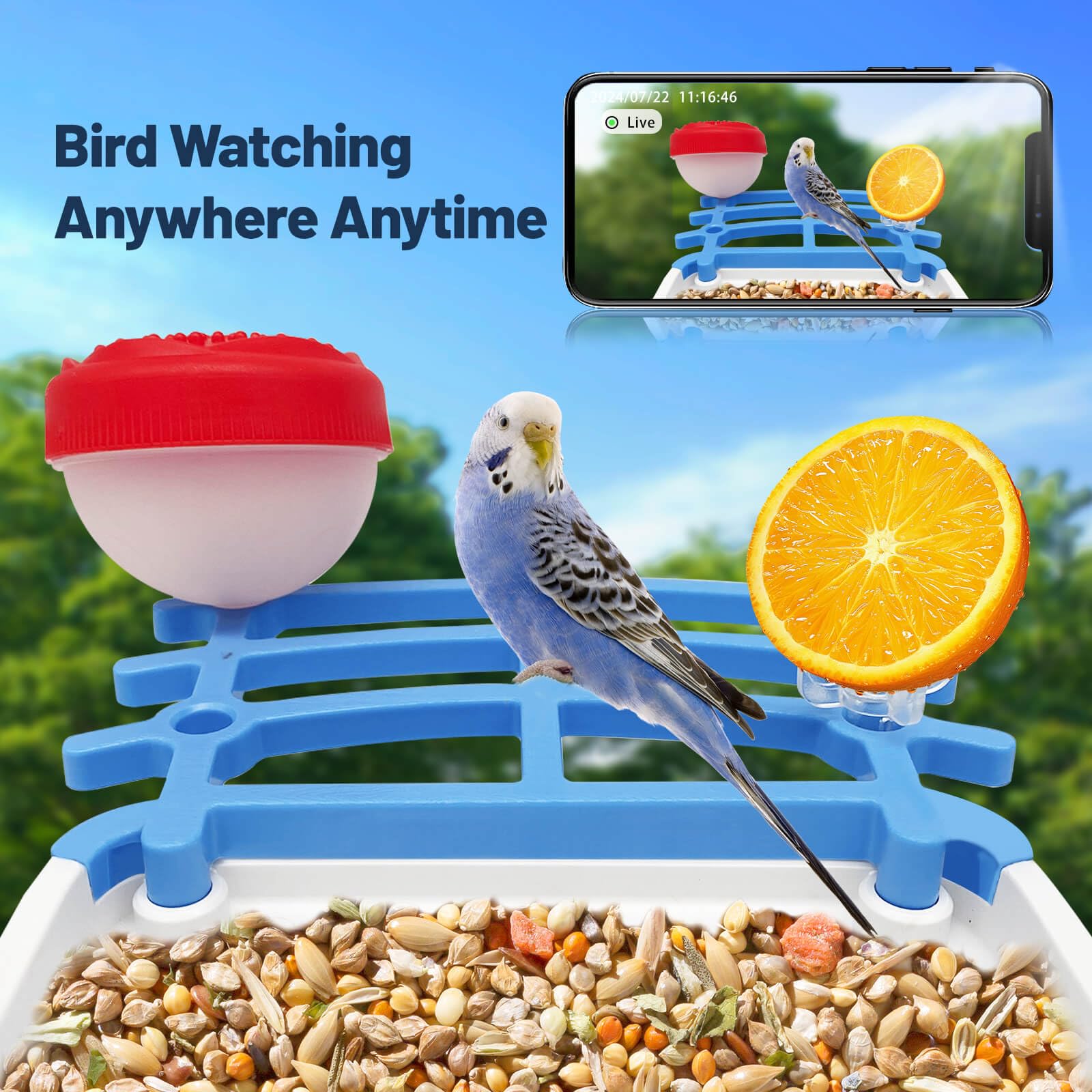 Mangiatoia Per Uccelli Intelligente Con Fotocamera E Riconoscimento AI – 10.000 Specie – Gialla