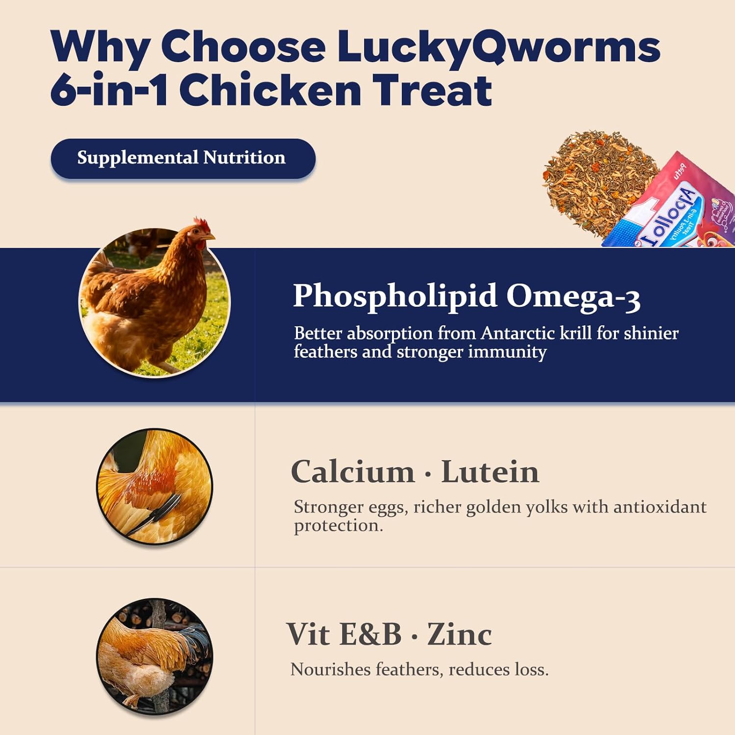 6-in-1 Poultry Treat Mix 5LBS High-Protein Mealworms, BSFL, Krill, Sunflower Seeds, Marigold Petals & Shells for Chickens & Ducks | Supports Strong Eggshells, Feather Health & Rich Yolks