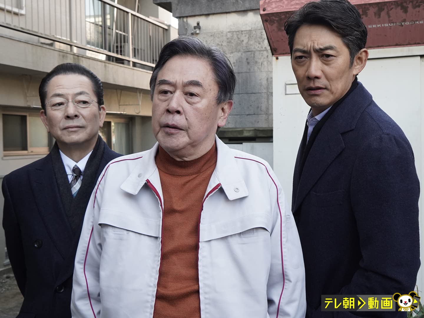 活動歴および当時の関連ビジュアル記録