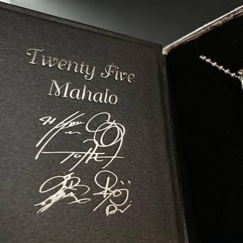 超希少TUBE 25th アニバーサリーシルバーペンダントヘッドBWLコラボ Amazon.co.jp: BILL WALL LEATHER ビルウォールレザー TUBE