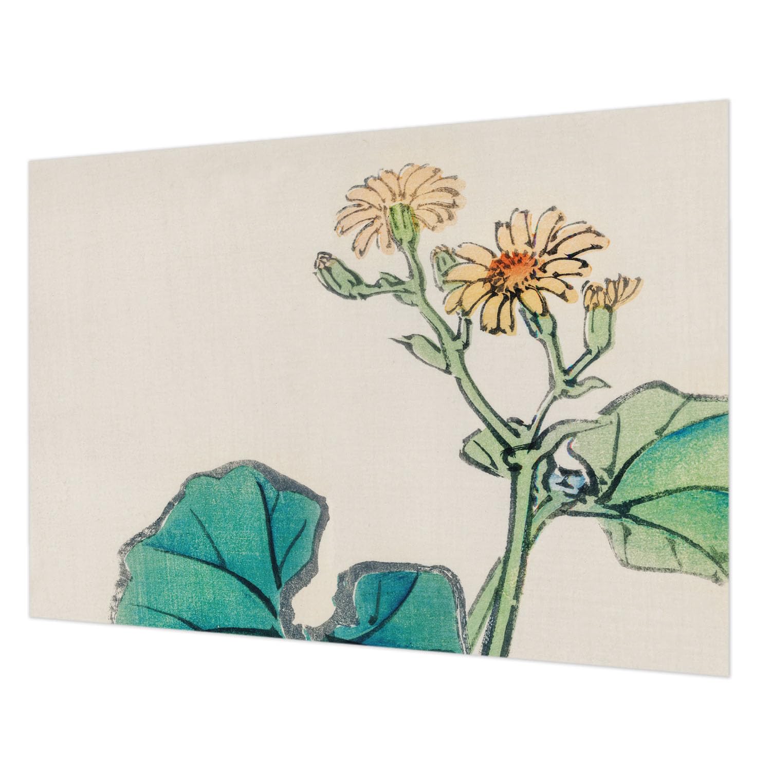 Papier peint intissé fleur et feuilles 208x146 cm pour salon et chambre