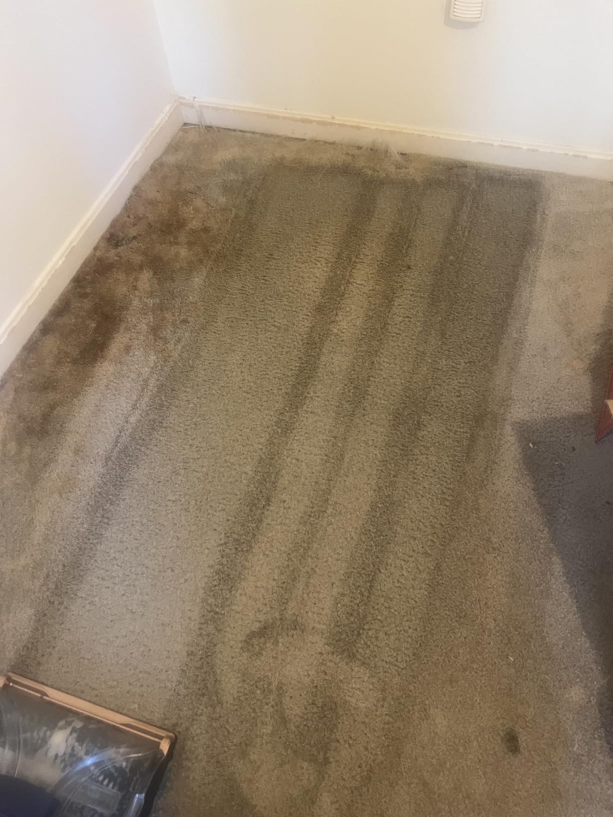 $14/mo - Finance Bundle of BISSELL Revolution HydroSteam Pet Carpet ...