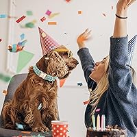 Vista 4 de Lionheart glory Collar de perro azul collar de verano para perro, collar de fiesta para perros machos o niñas, collares ajustables suaves