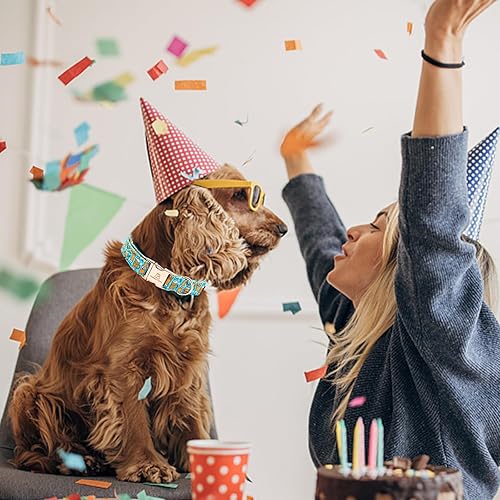 Miniatura 4 de Lionheart glory Collar de perro azul collar de verano para perro, collar de fiesta para perros machos o niñas, collares ajustables suaves y