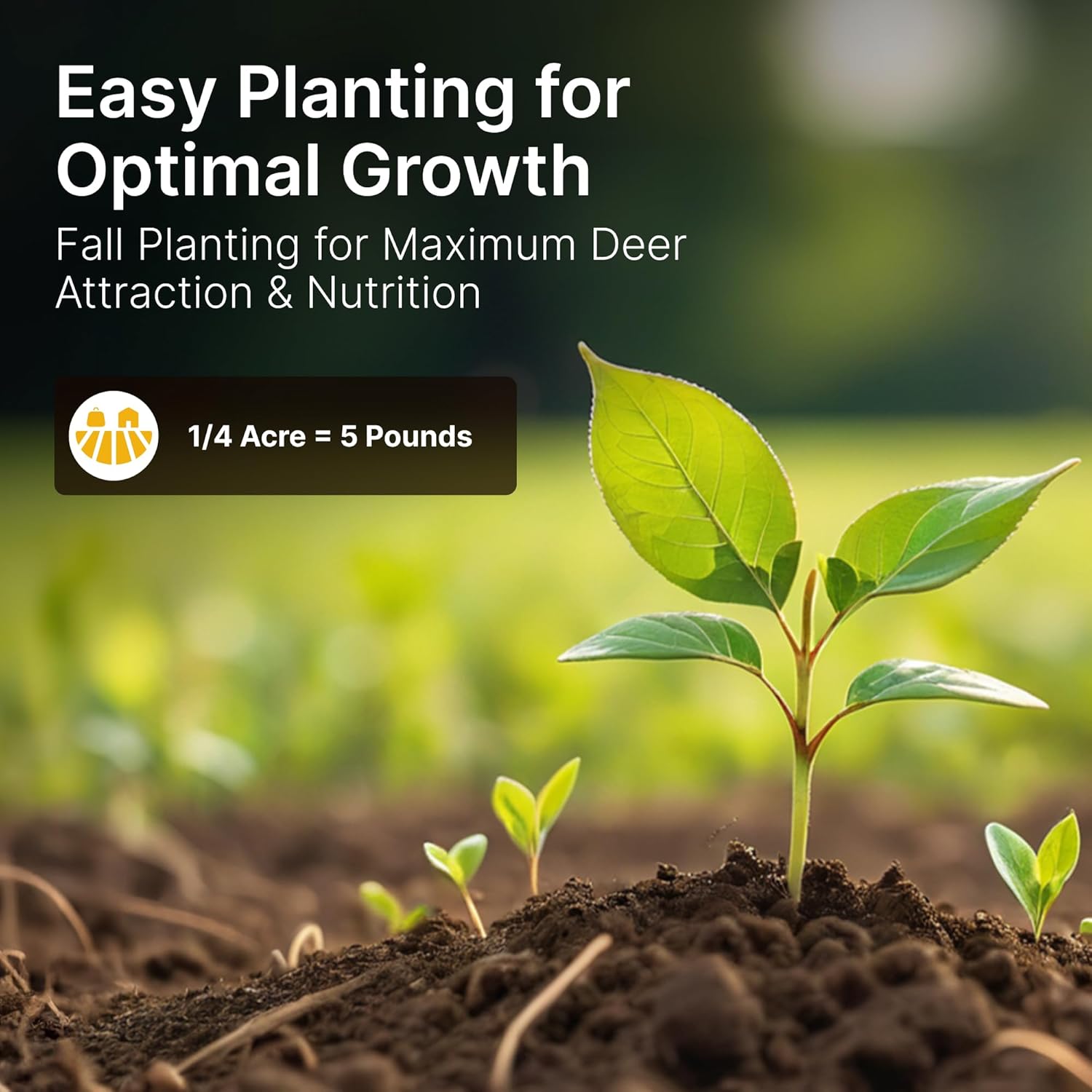 HIT LIST SEED® Elite 8 Fall Food Plot Seeds for Deer [ANNUAL MIX] - Deer Food Plot Seed - Deer Plot Seed Mix - Turnip, Radish, Brassica, Clover, Wheat, Rye, Oats, Peas - Fall Planting -10 lbs 1/2 Acre