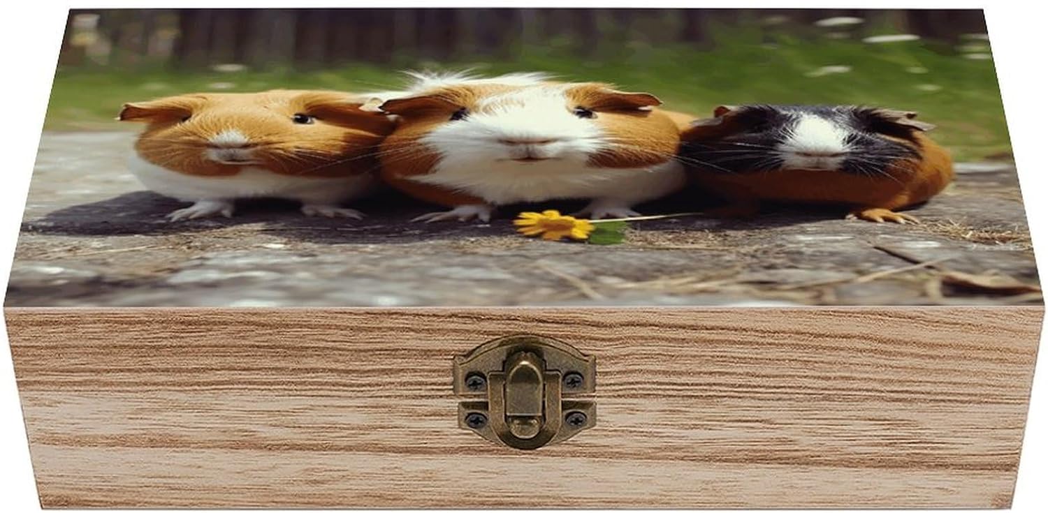 Guinea Pigs Funny Wooden Storage Box Fashion Natural Wooden Box with Hinged Lid Exquisite Keepsake Boxes Vintage Wood Boxes Gift Jewelry Organizer Trinket Storage Chest